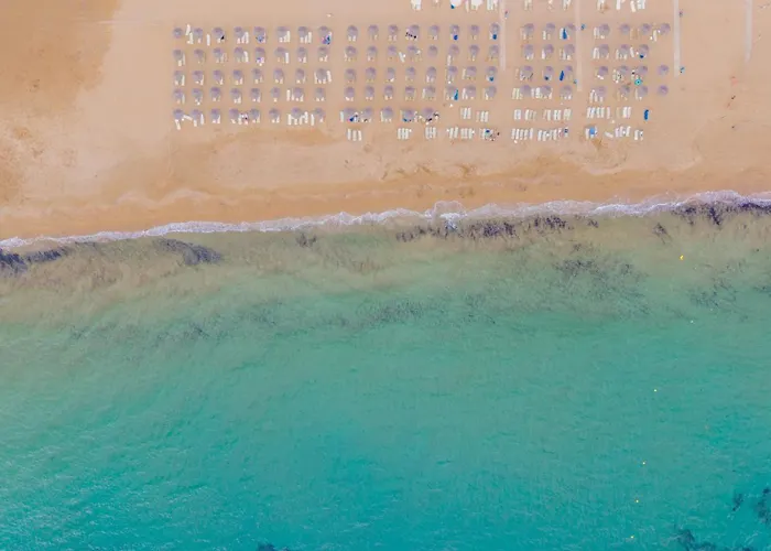 Sandy By Rizos Λίνια